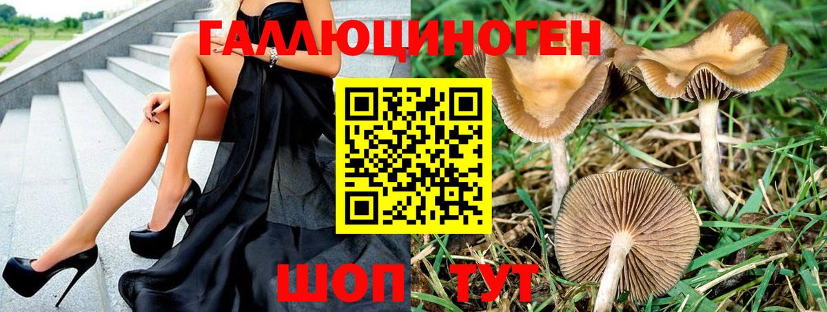 Долгопрудный  Галлюциногенные грибы Magic Shrooms  Вход с VPN 