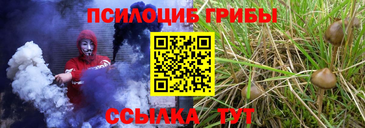 Псилоцибиновые грибы Psilocybine cubensis Долгопрудный
